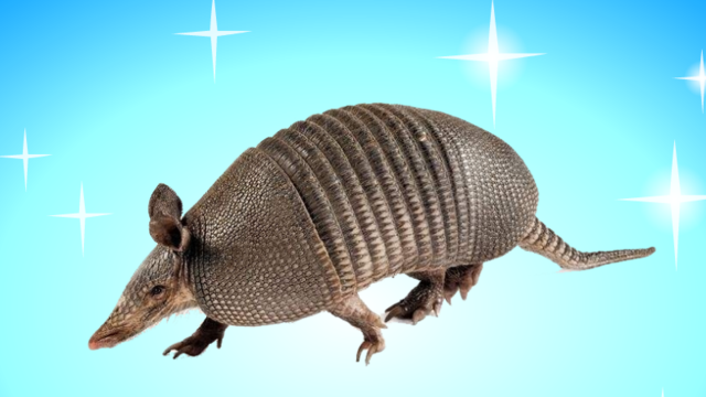 九游体育app下载 -关于u灤幱M?犠w??駨__?篨莟D雂&amp;兽嫘:2盝的信息